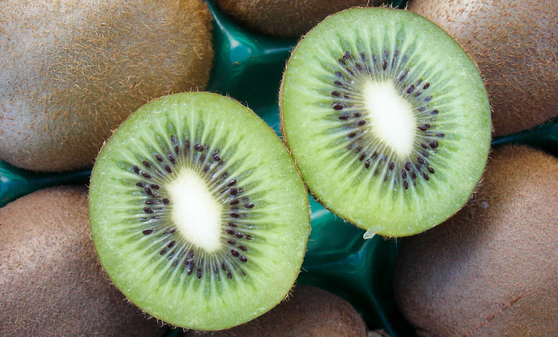Obst Gemüse Karner - Kiwi